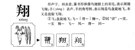 翔的五行|翔的意思